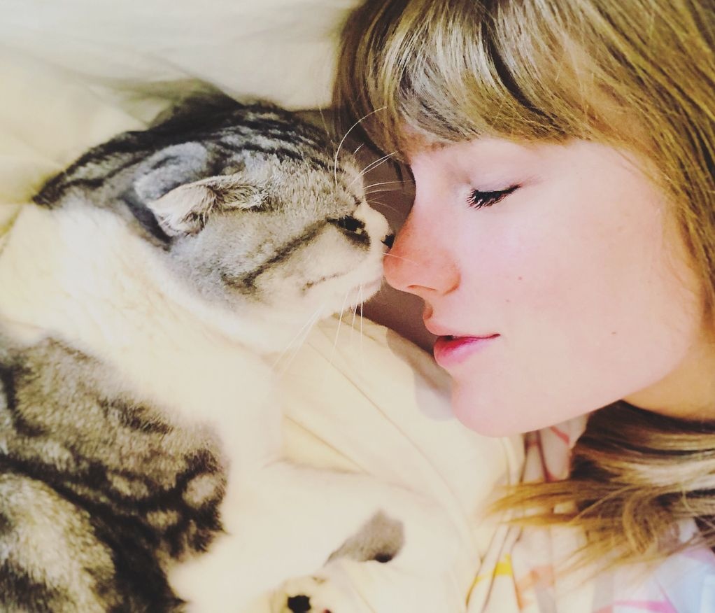 Αυτοί οι διάσημοι αγαπούν τις γάτες και δεν το κρύβουν!