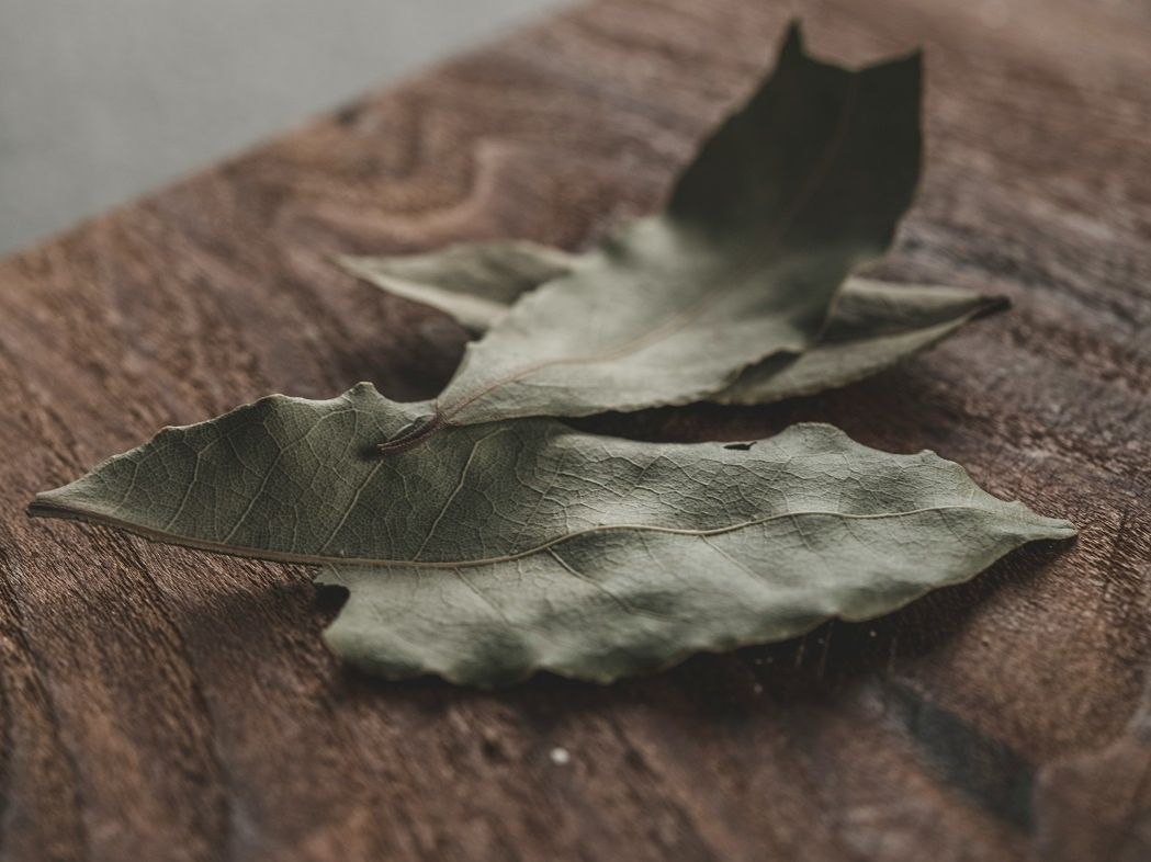 Ανακάτεψε φύλλα δάφνης με μαγειρική σόδα: γιατί το προτείνεται & πώς θα το χρησιμοποιήσεις στο σπίτι