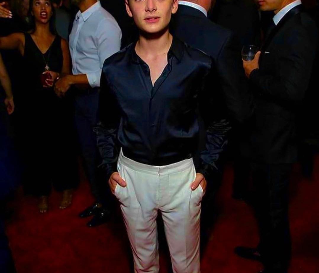 Ο πρωταγωνιστής του Stranger Things υποστήριξε τον διάσημο Tik- Toker και το Twitter ξεσπάει