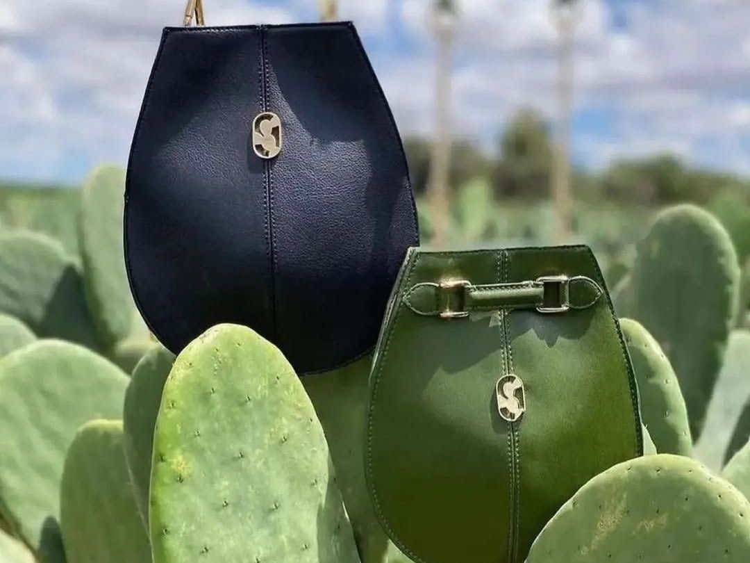 Η επανάσταση του vegan δέρματος από κάκτο που σώζει ζωές και τον πλανήτη