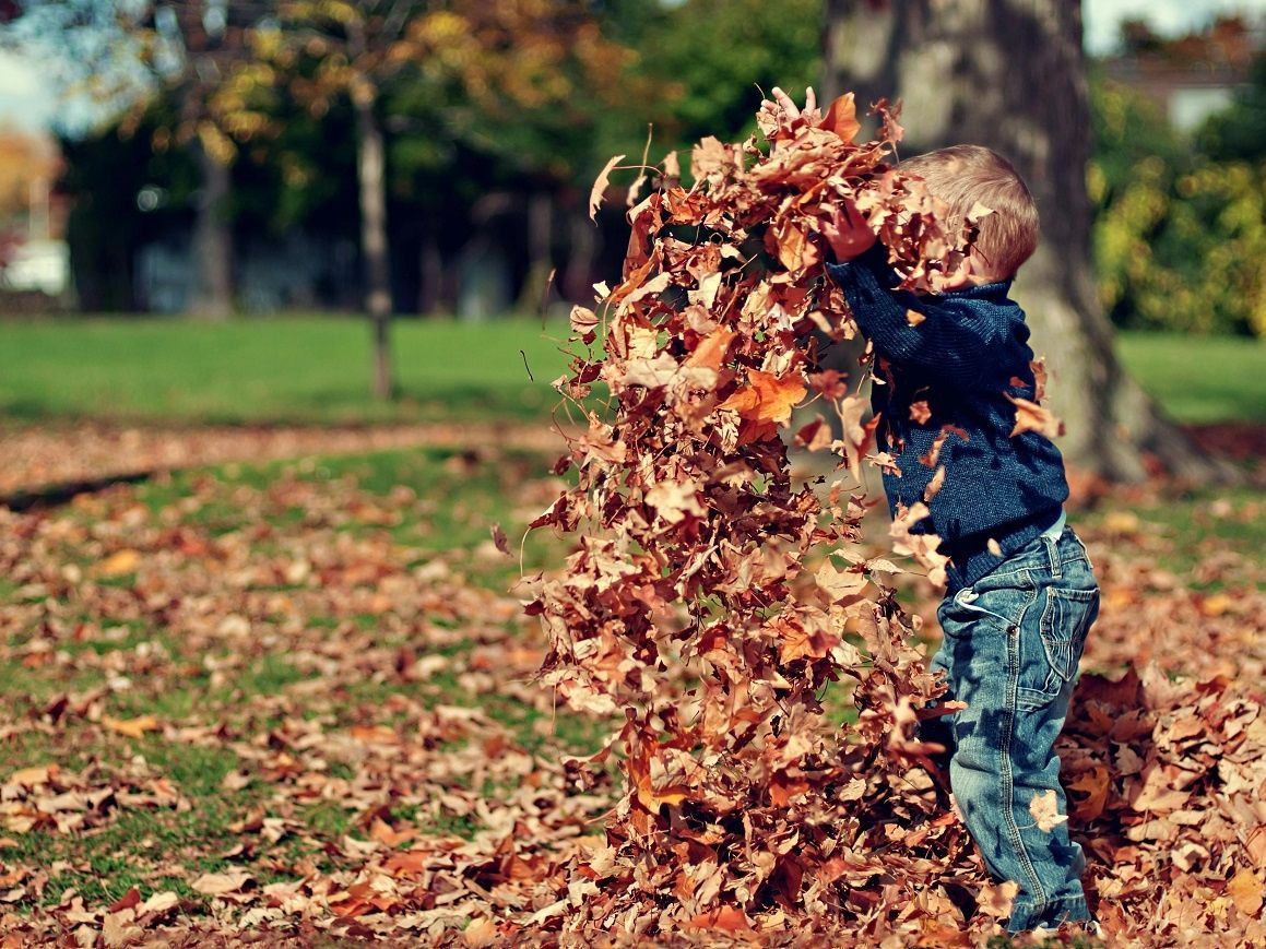 Οι γονείς θέλουν παιδιά με περιέργεια αλλά λένε «πρόσεχε» 27 φορές τη μέρα, σύμφωνα με έρευνα