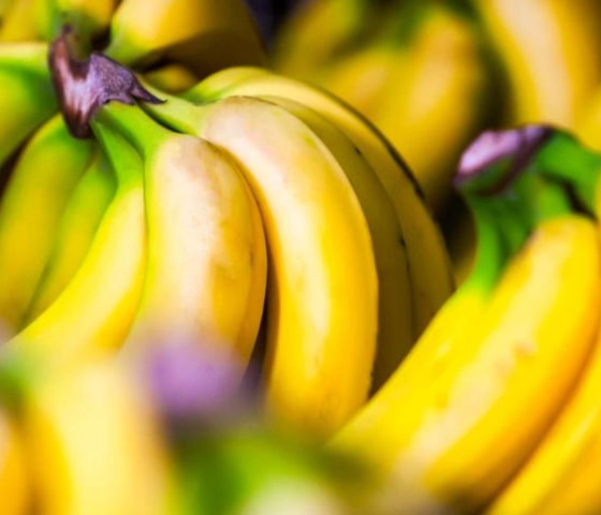 Εγκεφαλικό: Οι τροφές που μειώνουν τον κίνδυνο (pics)