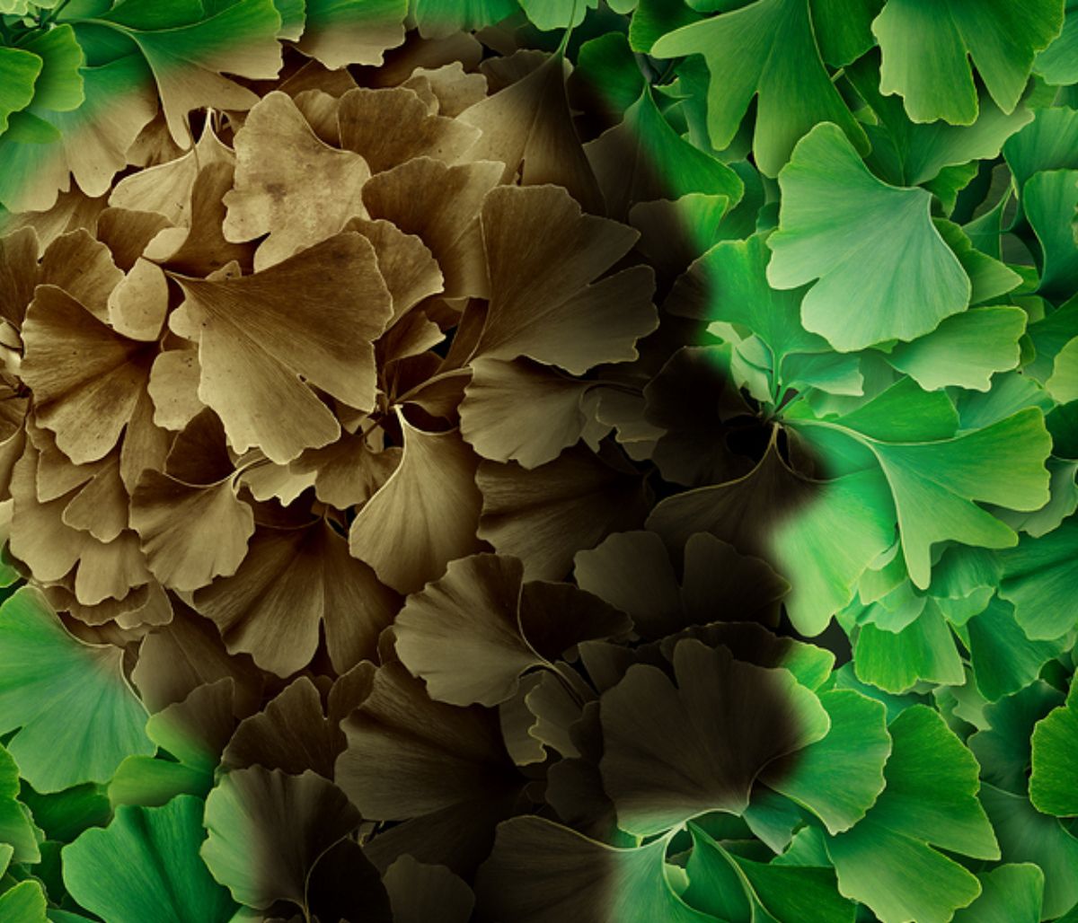 Κίνδυνος Αλτσχάιμερ: Η σημασία του ύπνου στην εφηβεία