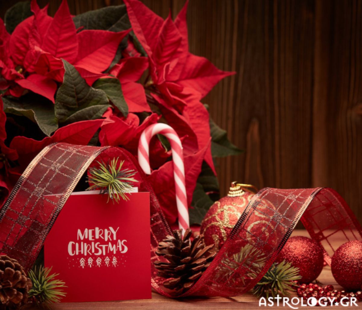 Ξέρουμε πώς σου αρέσει να περνάς τα Χριστούγεννα