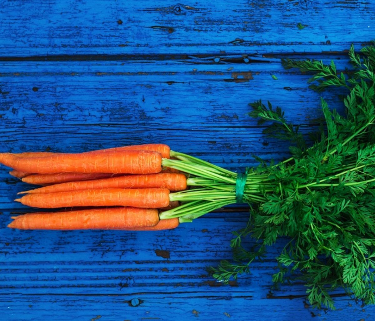 Καρότα: 5 σημαντικά οφέλη για την υγεία σας (εικόνες)