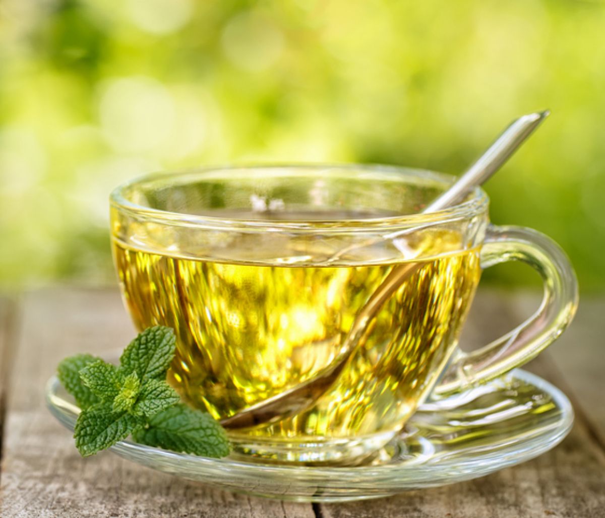 Οι θεραπευτικές ιδιότητες της μέντας (video)