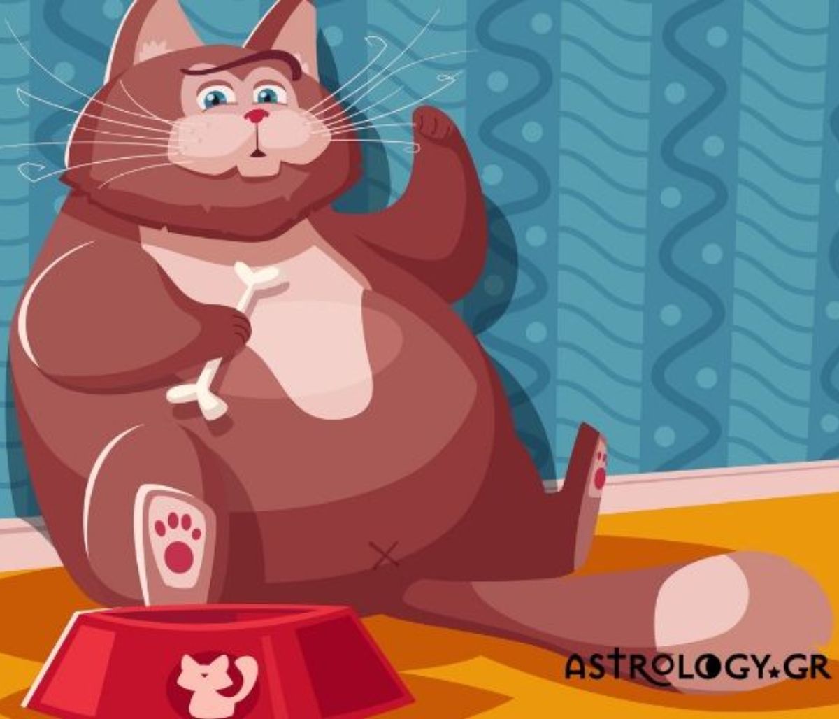 Έτσι και κάνεις σχέση μαζί τους, ετοιμάσου να πάρεις κιλά!