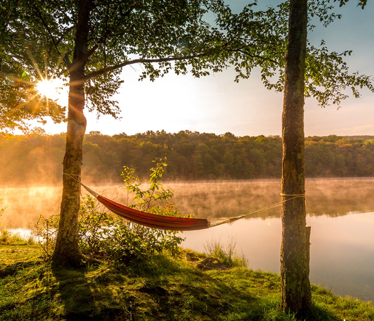 Ημερήσιες Προβλέψεις για όλα τα Ζώδια 13/06