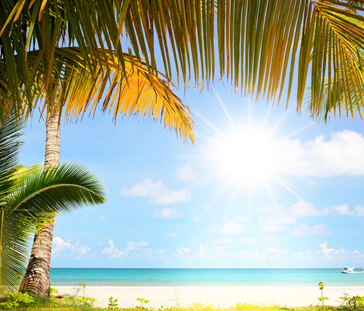 Όλα όσα χρειάζεται να ξέρεις για τον Ιούλιο του 2019