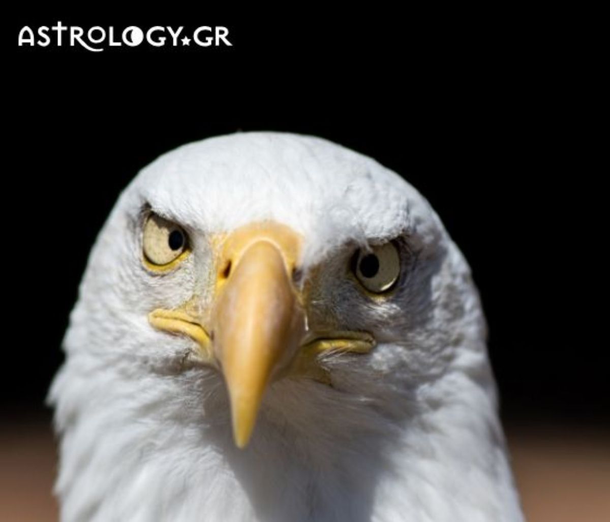 Σήμερα 11/07: Να είσαι ο απόλυτος κυρίαρχος του παιχνιδιού