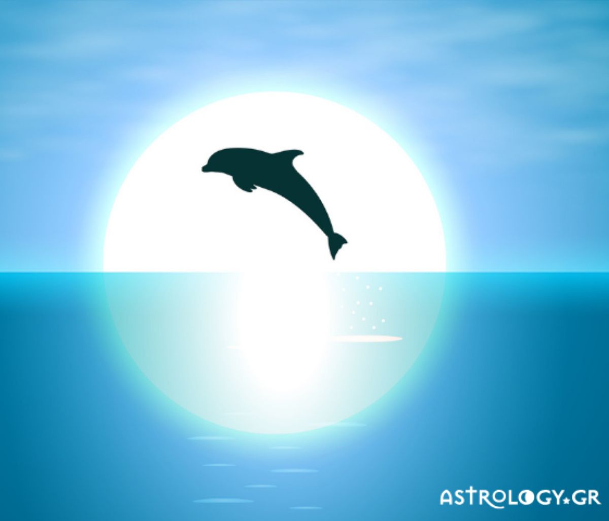Είδες στο όνειρό σου δελφίνια; Μάθε τι σημαίνει αυτό για σένα