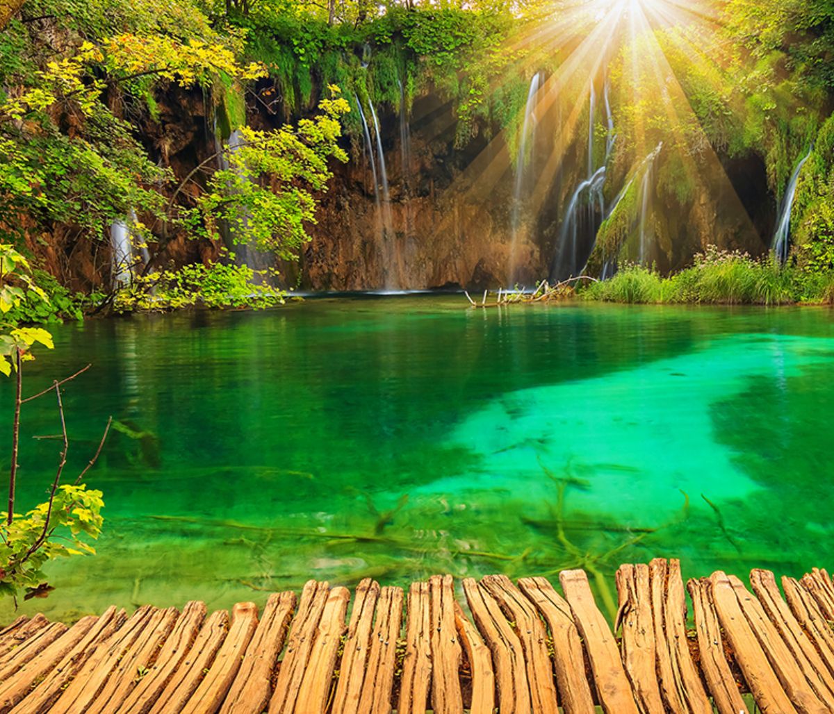 Ημερήσιες Προβλέψεις για όλα τα Ζώδια 09/08