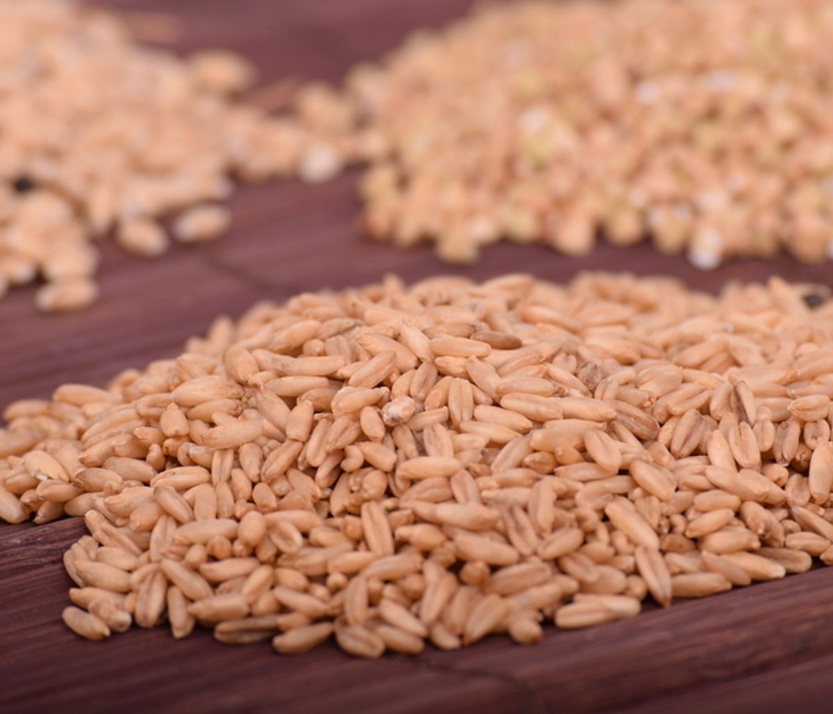 Κριθάρι: Τα μοναδικά οφέλη του για την υγεία (εικόνες)