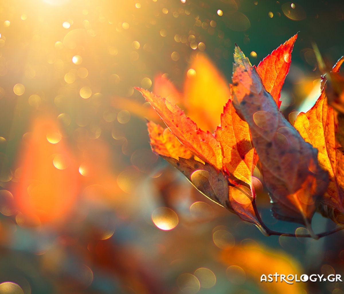 Ημερήσιες Προβλέψεις για όλα τα Ζώδια 08/09
