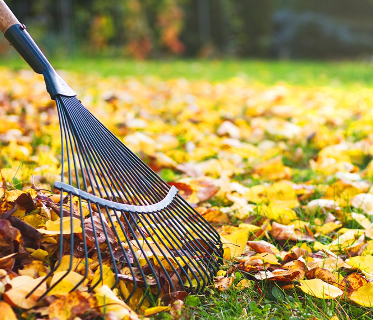 Ημερήσιες Προβλέψεις για όλα τα Ζώδια 10/09