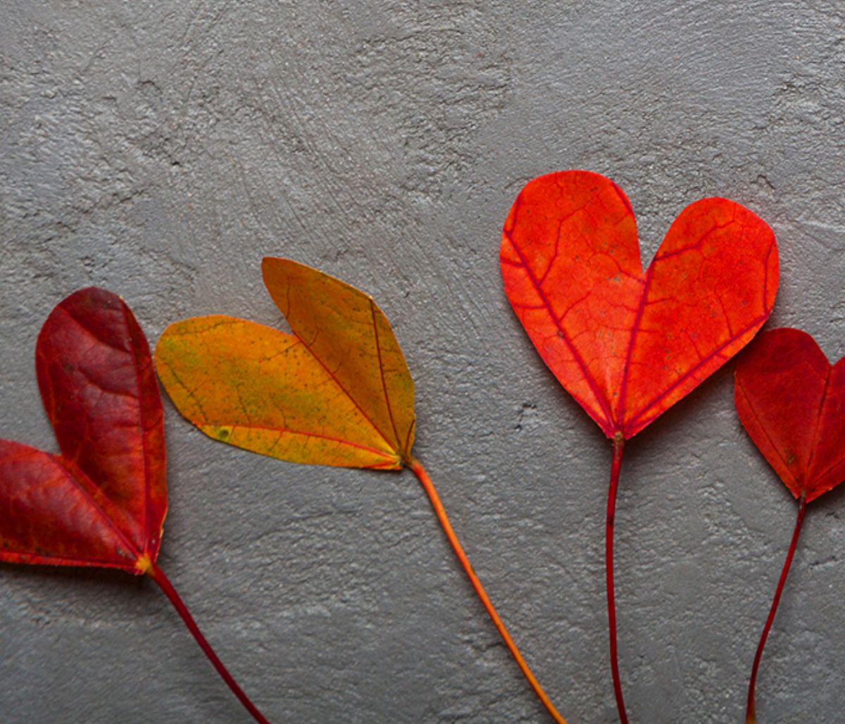 Ερωτικές Προβλέψεις για όλα τα Ζώδια, 26/09