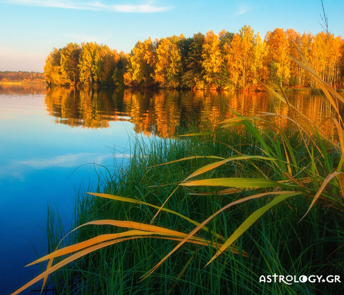 Ημερήσιες Προβλέψεις για όλα τα Ζώδια 29/09