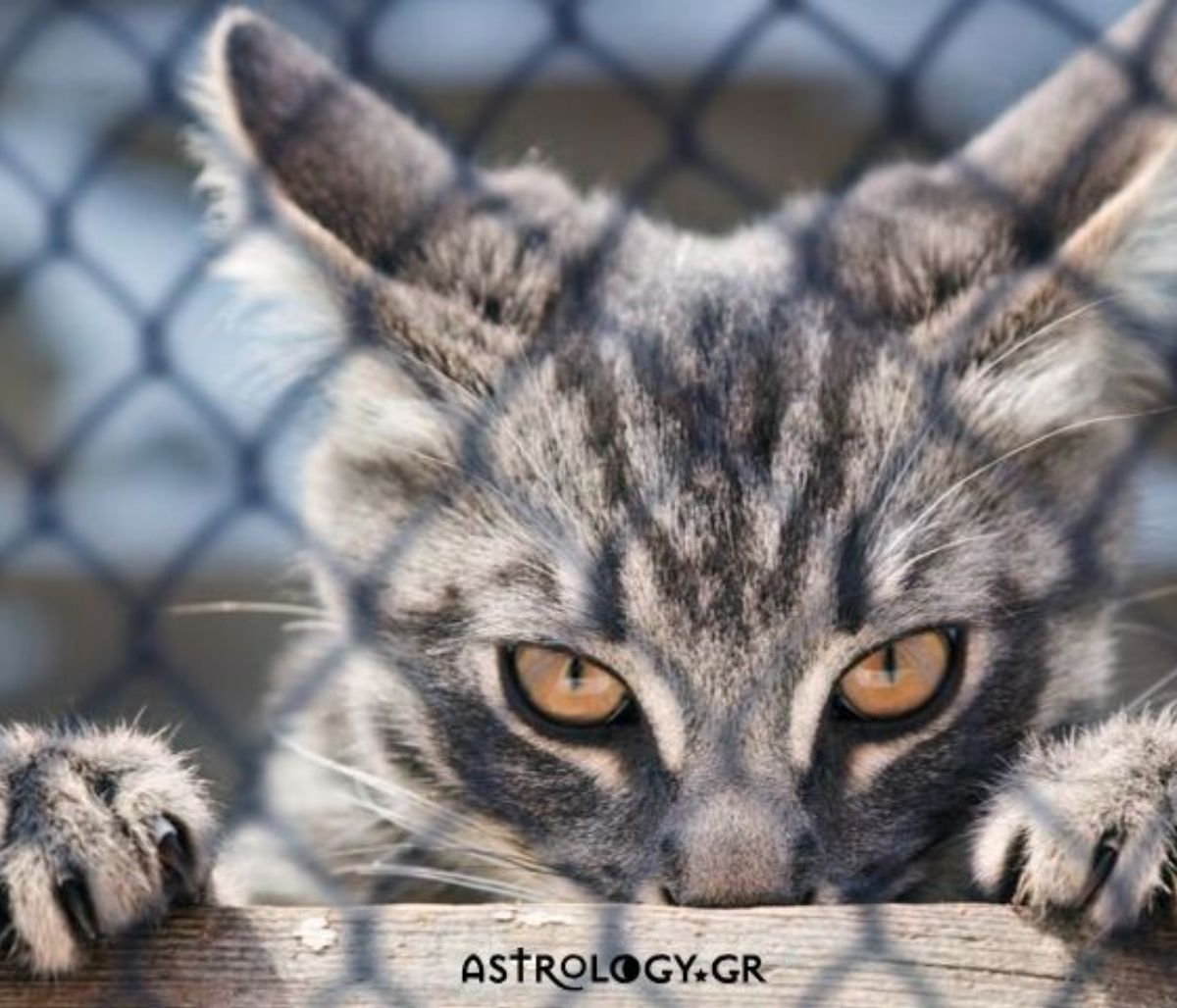 Σήμερα 03/10: Μην πιστεύεις και... ερεύνα