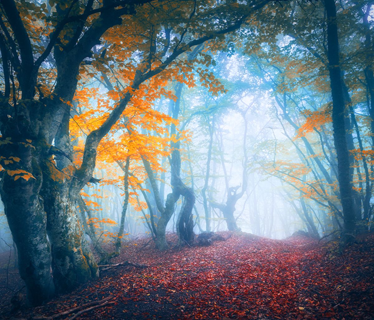 Ημερήσιες Προβλέψεις για όλα τα Ζώδια 14/10