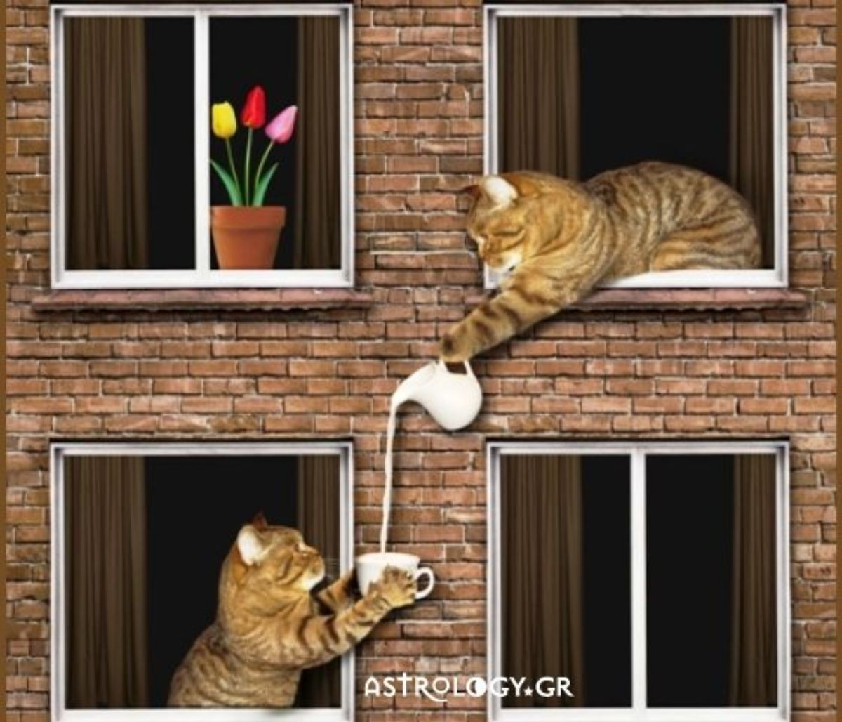 Τα 5 ζώδια που θα ήθελες να έχεις για γείτονες