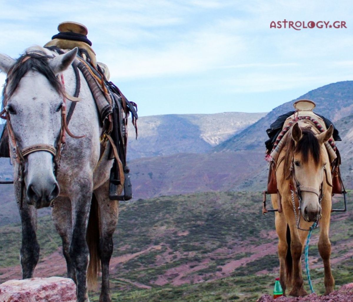 Αυτά τα ζώδια έχουν απεριόριστη υπομονή και αντέχουν πολλά!