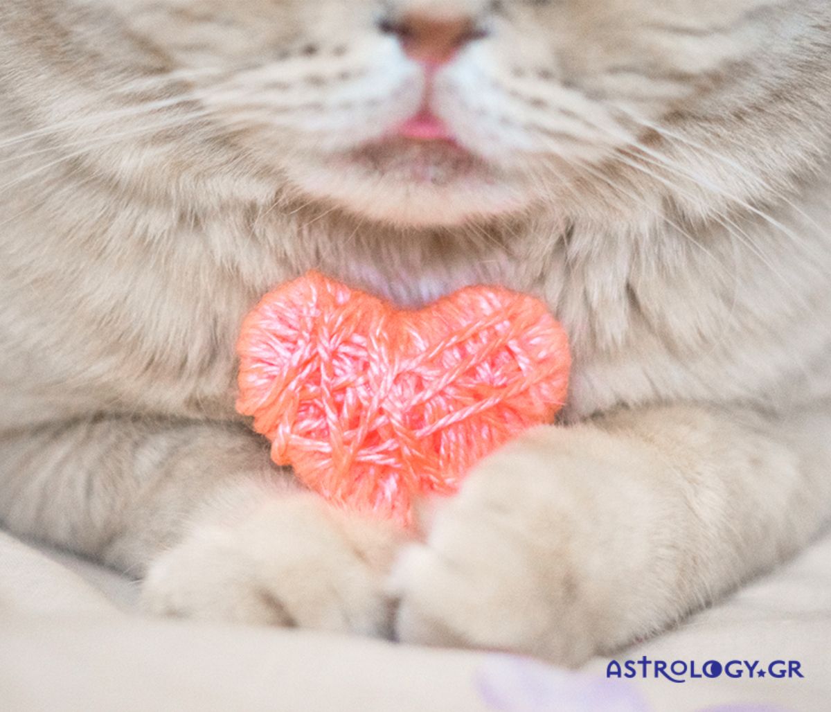 Ερωτικές Προβλέψεις για όλα τα Ζώδια, 09/01