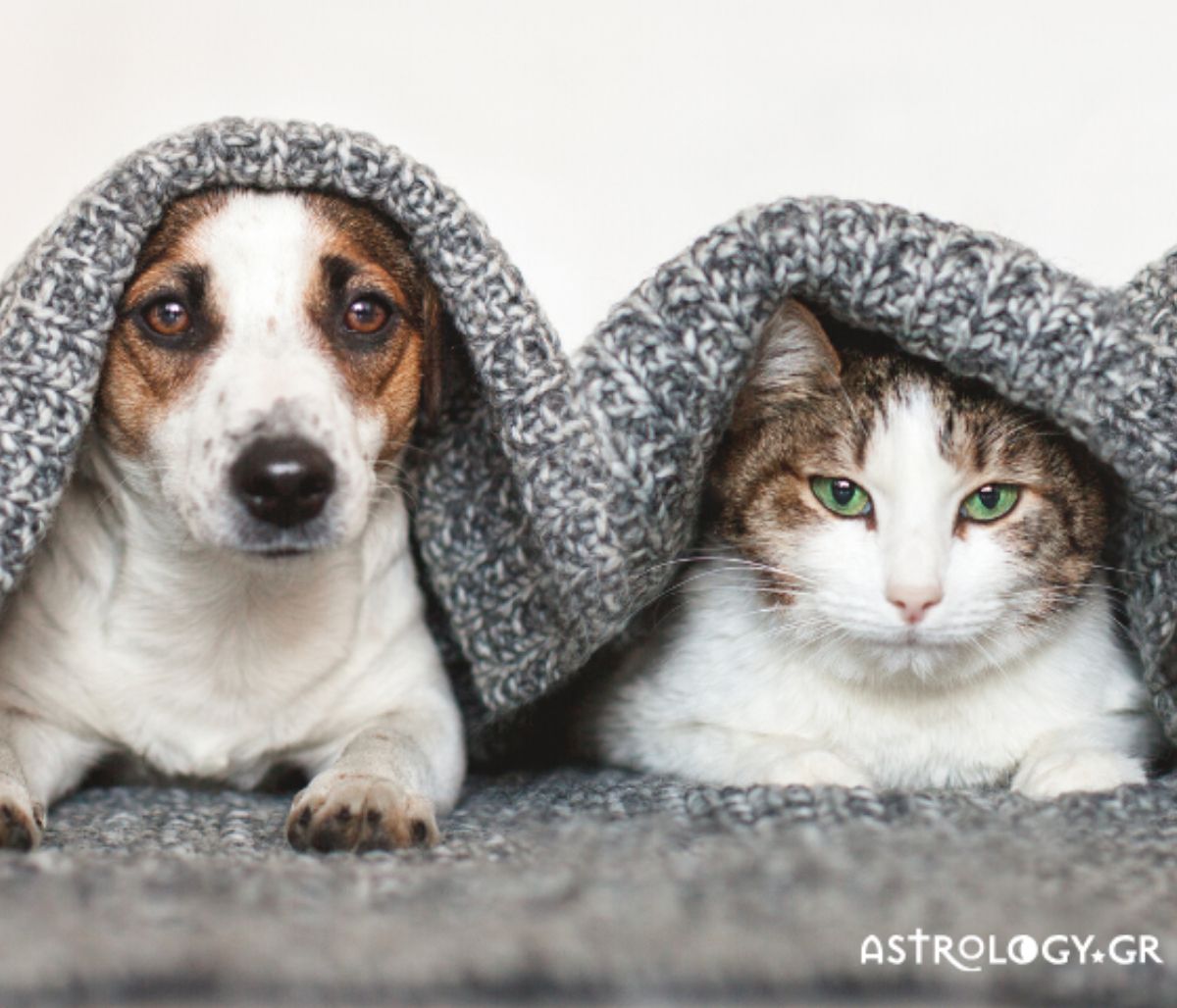 Χαριτωμενιές του ζωδίου σου που δε σου έχει αναφέρει κανείς!