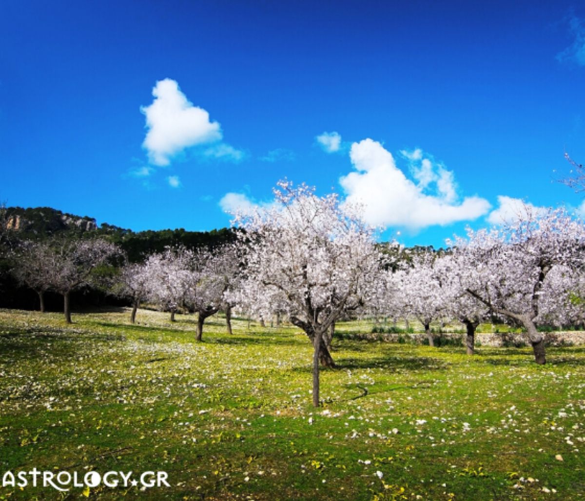 Σήμερα 01/02: Πρωτομηνιά με ανανεωτική διάθεση