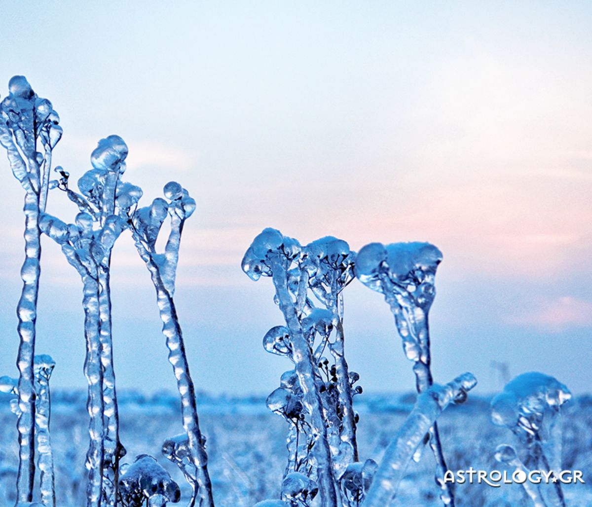 Ημερήσιες Προβλέψεις για όλα τα Ζώδια 24/01