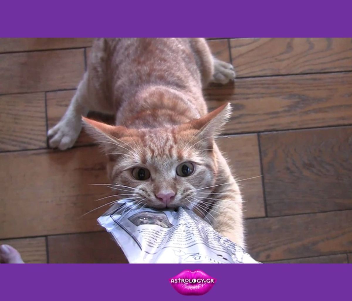 Να τι λατρεύεις να κάνεις με βάση το ζώδιό σου