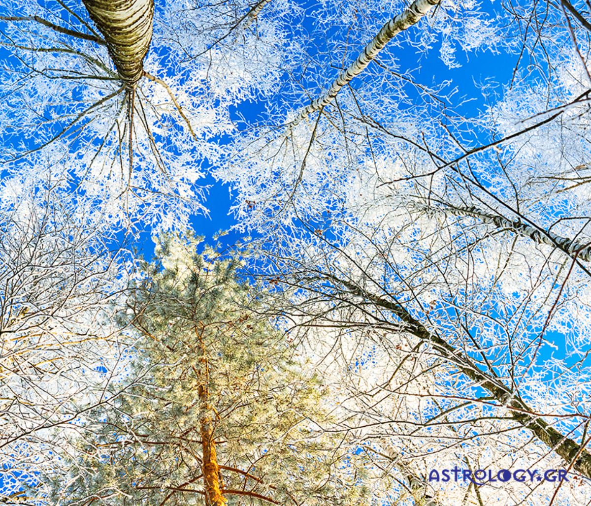Ημερήσιες Προβλέψεις για όλα τα Ζώδια 03/02