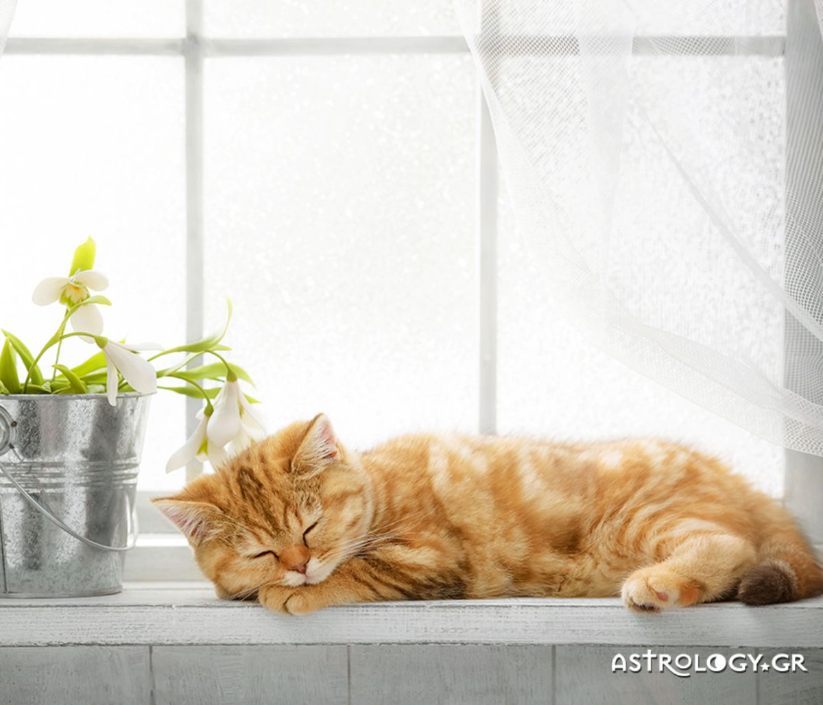 Ημερήσιες Προβλέψεις για όλα τα Ζώδια 03/03