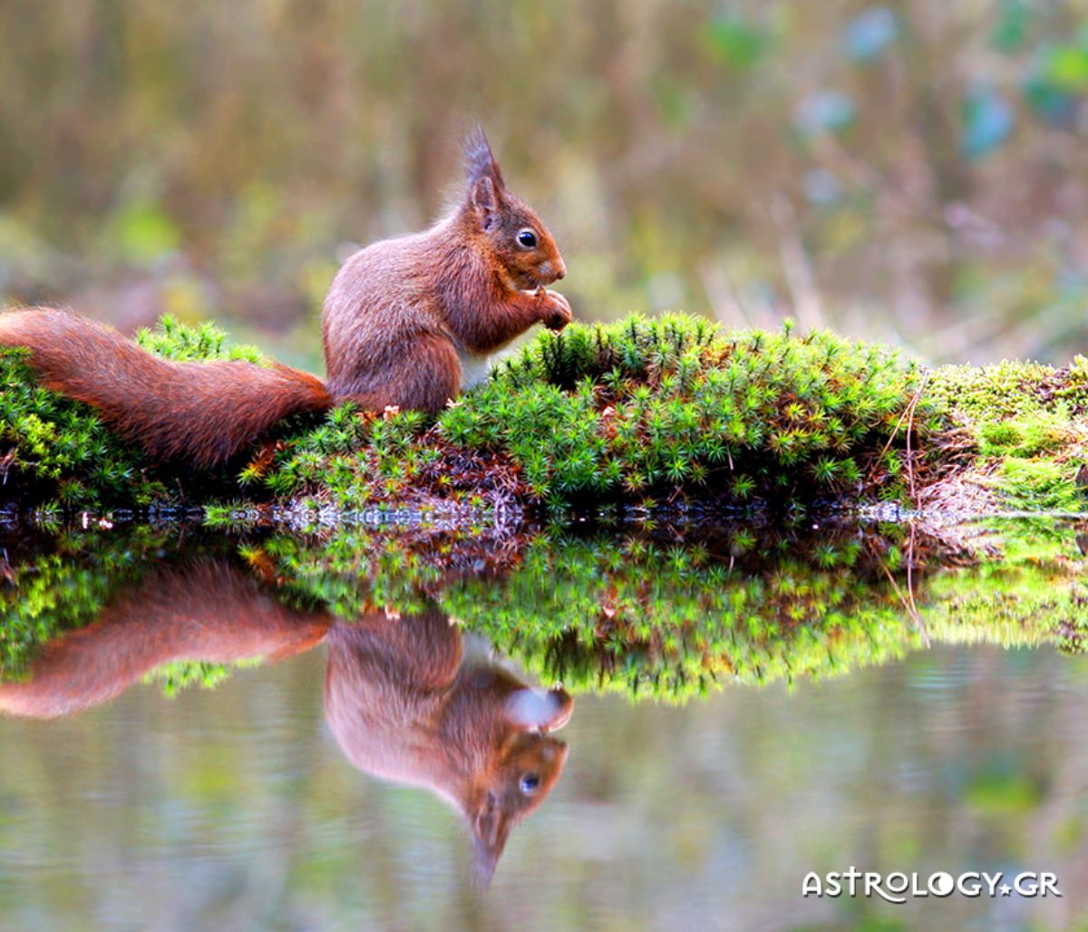 Διάβασε ΔΩΡΕΑΝ την προσωπική σου πρόβλεψη, για σήμερα 03/03/2020