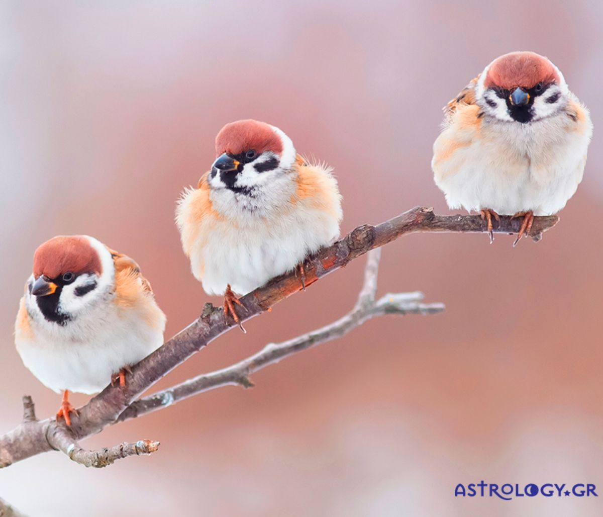 Διάβασε ΔΩΡΕΑΝ την προσωπική σου πρόβλεψη, σήμερα 10/03/2020