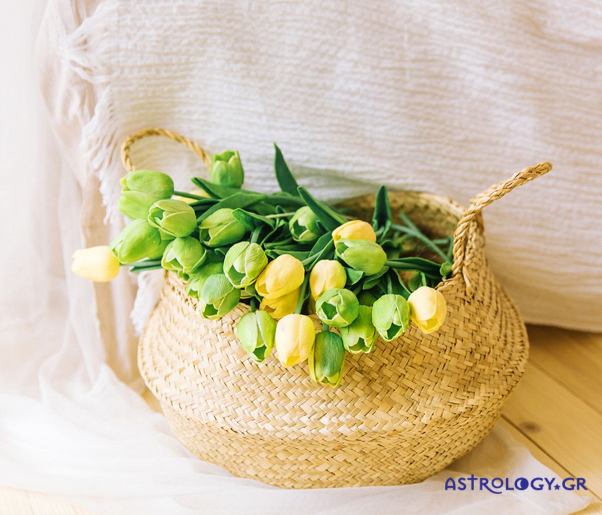 Ημερήσιες Προβλέψεις για όλα τα Ζώδια 13/03