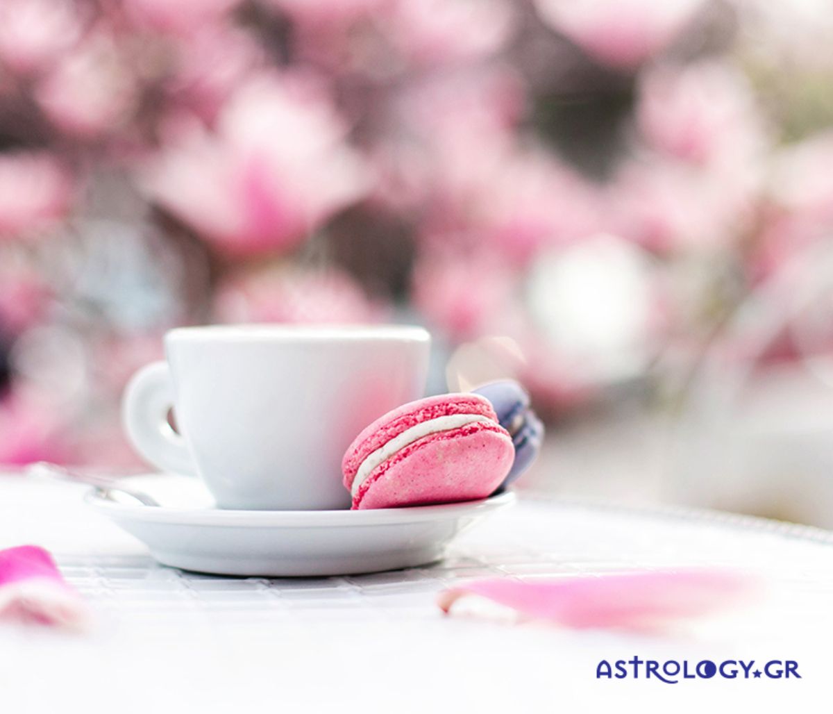 Ημερήσιες Προβλέψεις για όλα τα Ζώδια 15/03