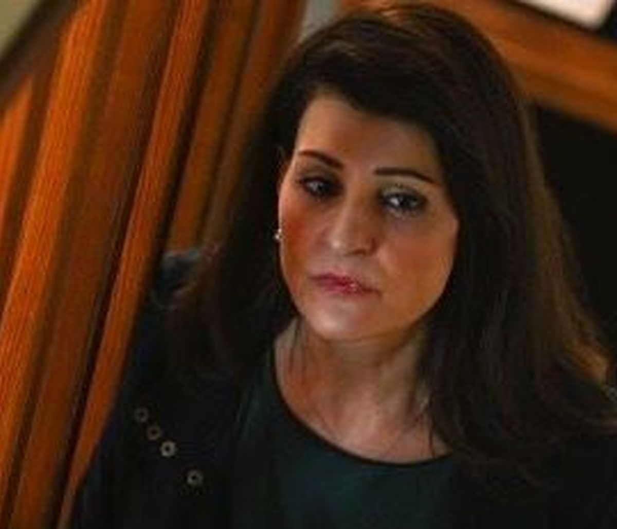 Nia Vardalos: Δύσκολες ώρες για την ηθοποιό - Βαρύ πένθος στην οικογένειά της (Photos)