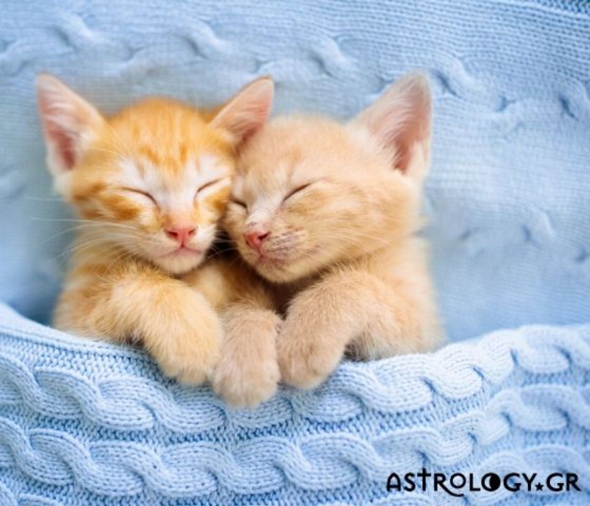 Σήμερα 17/03: Ψυχραιμία παιδιά!