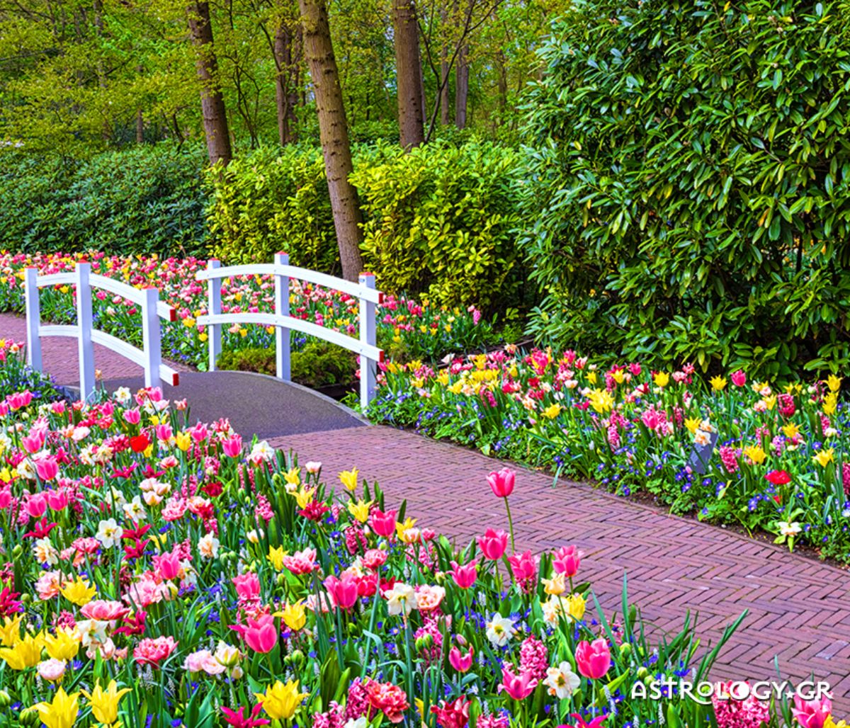 Διάβασε ΔΩΡΕΑΝ την προσωπική σου πρόβλεψη, σήμερα 20/03/2020