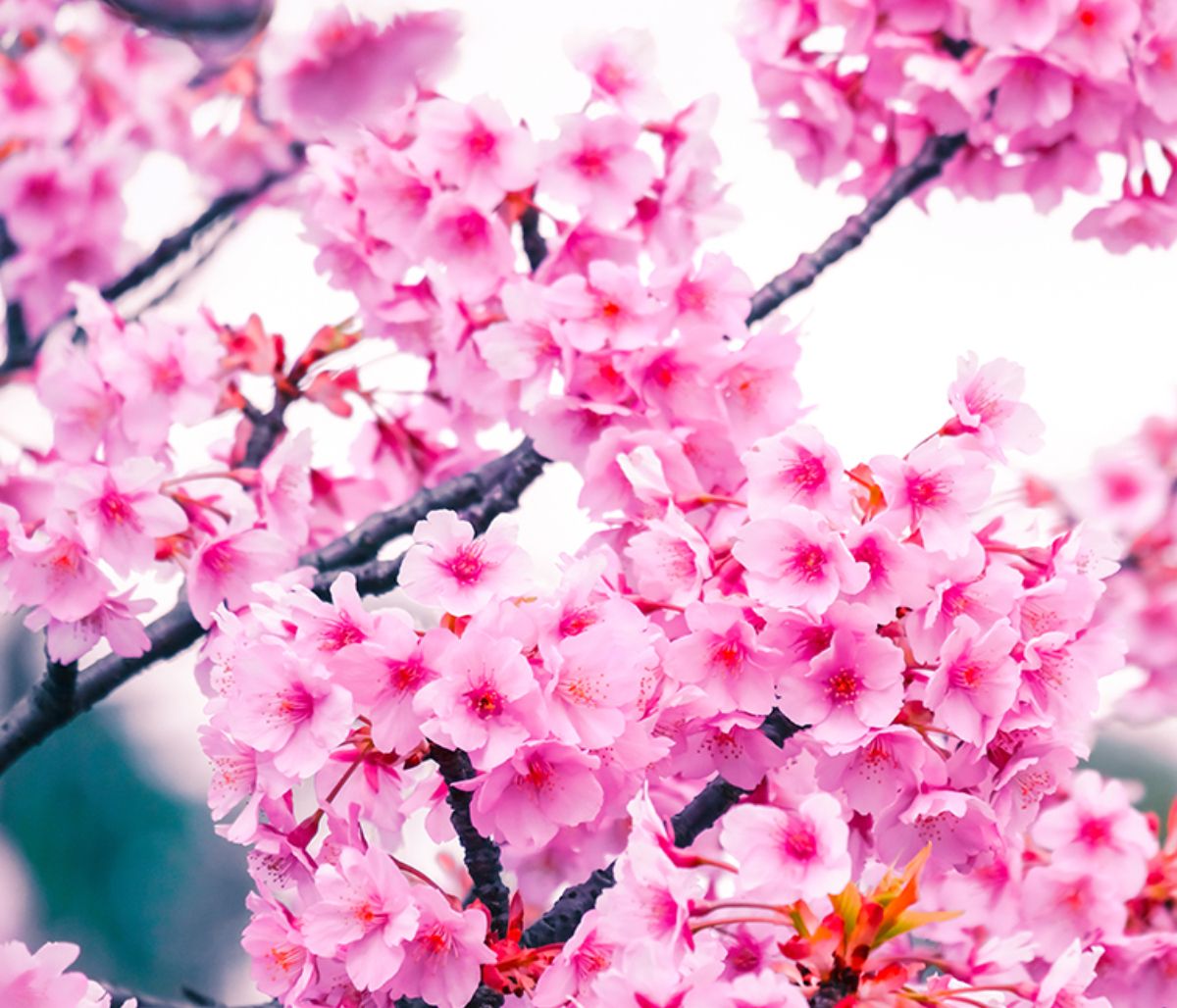 Ημερήσιες Προβλέψεις για όλα τα Ζώδια 24/03