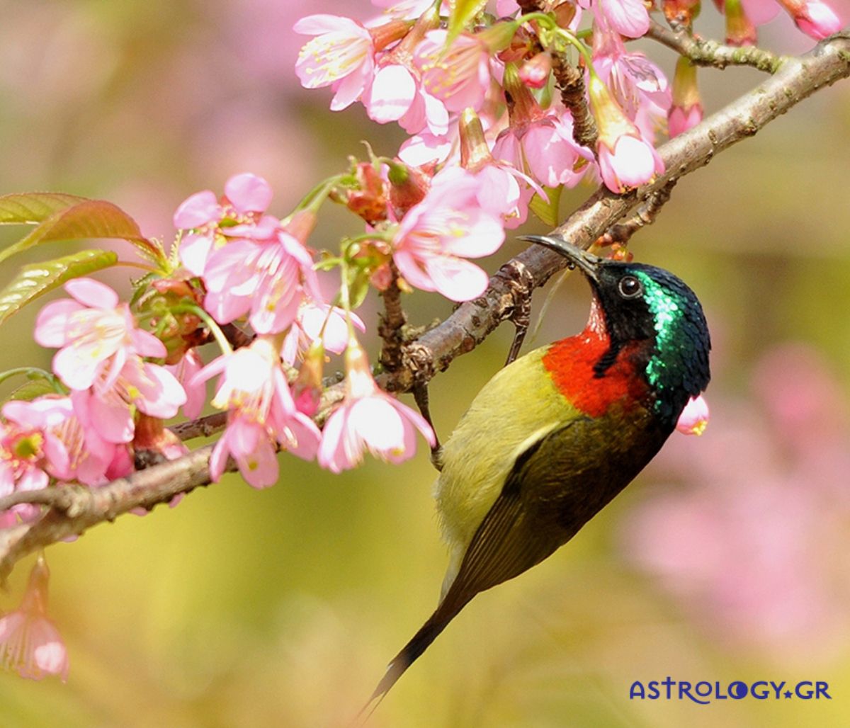 Διάβασε ΔΩΡΕΑΝ την προσωπική σου πρόβλεψη, για σήμερα 21/03/2020