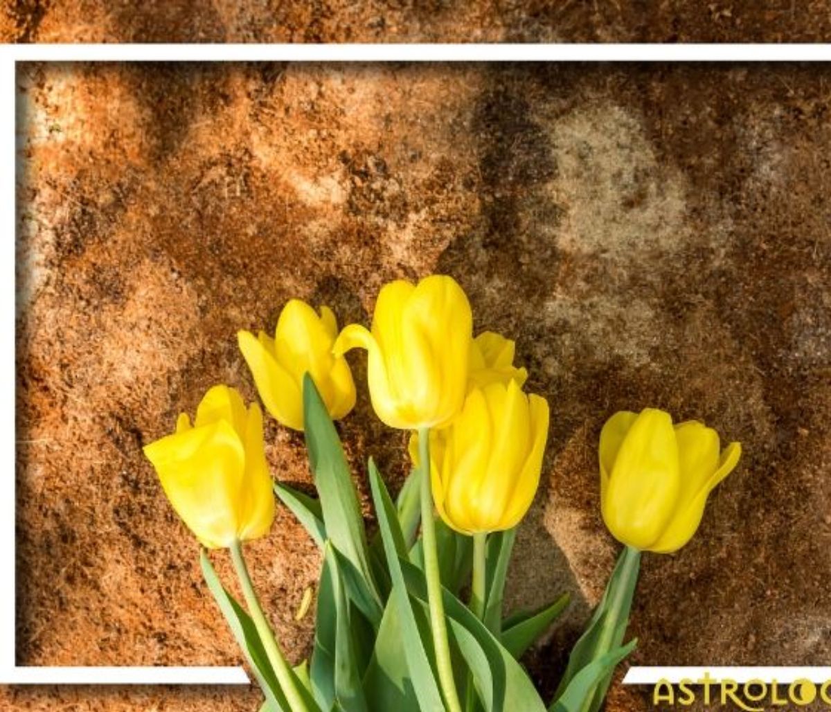 Σήμερα 27/03: Αναζητώντας σταθερότητα και αξιοπιστία