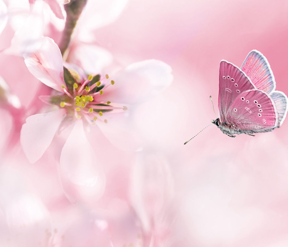 Τι λένε τα άστρα για τον Απρίλιο 2020!