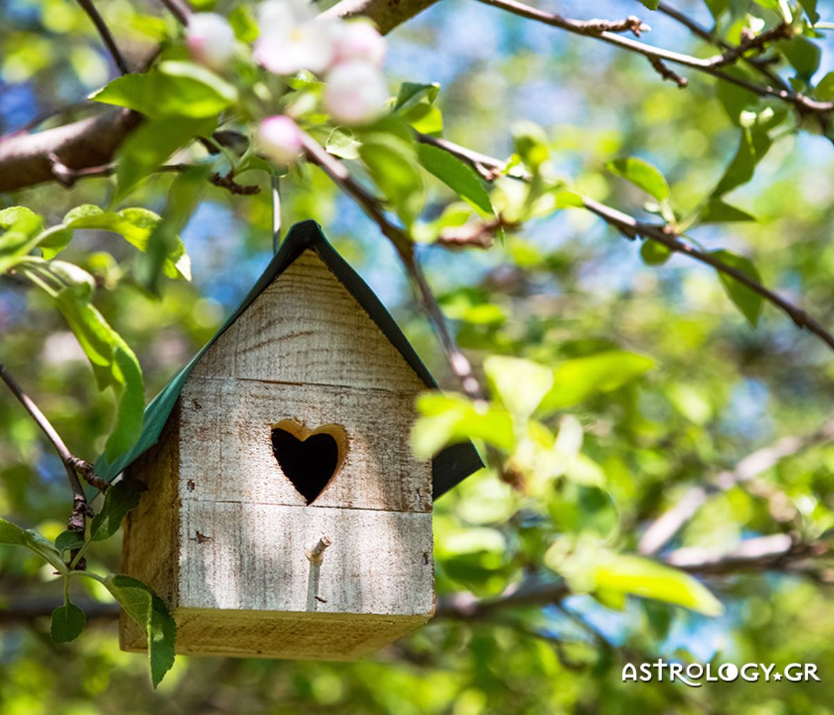 Προβλέψεις για τα αισθηματικά του ζωδίου σου, σήμερα 02/04