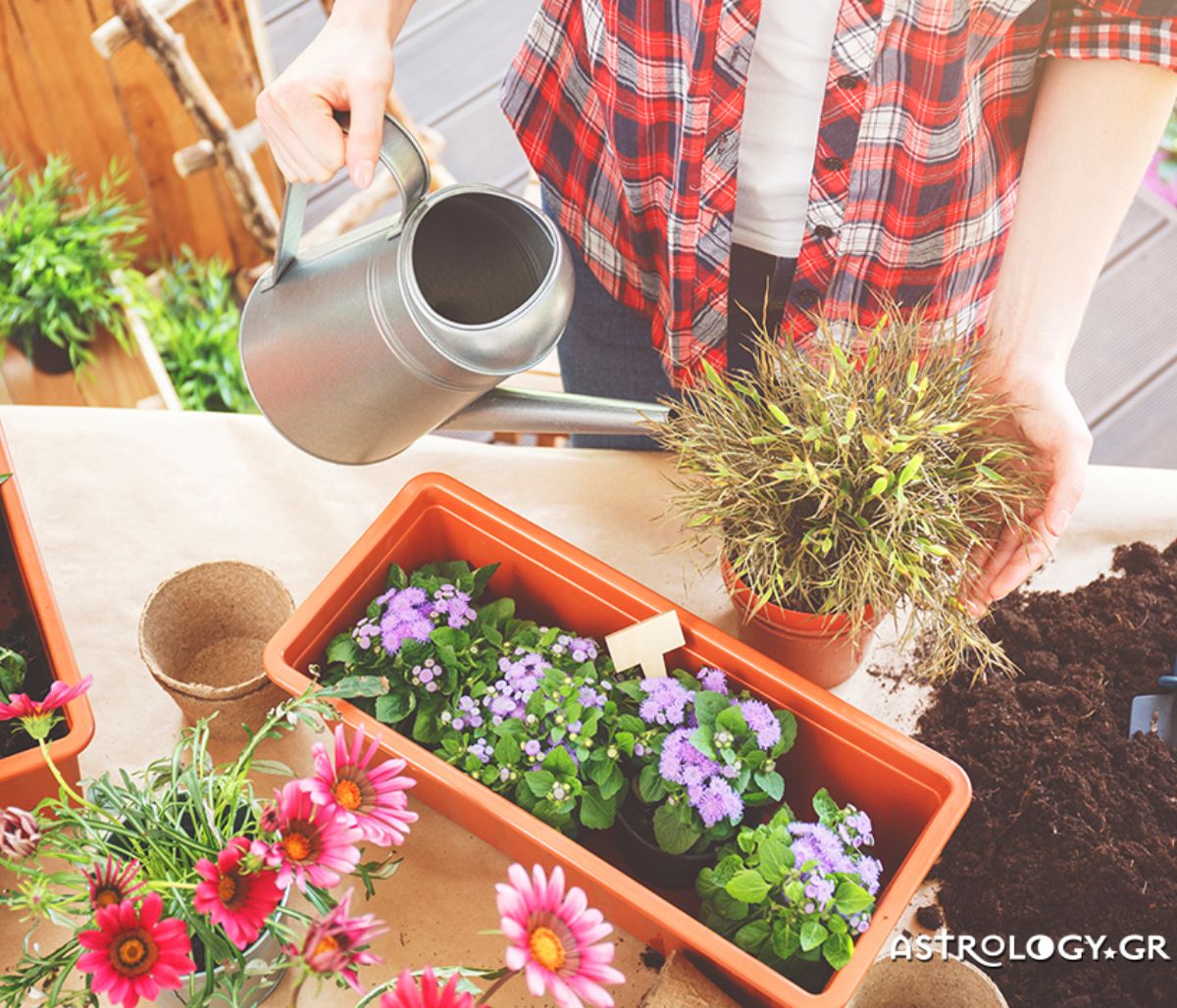 Ημερήσιες Προβλέψεις για όλα τα Ζώδια 05/04