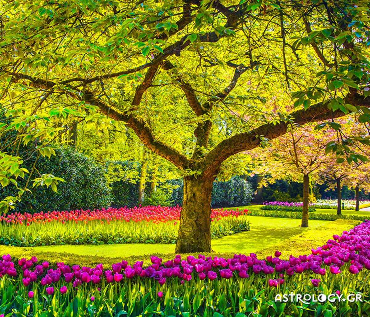 Ημερήσιες Προβλέψεις για όλα τα Ζώδια 11/04