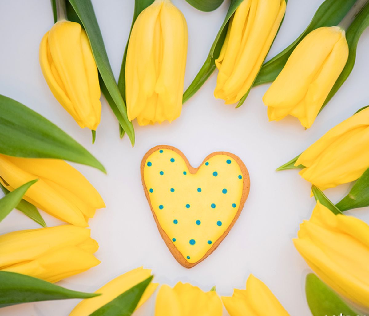 Προβλέψεις για τα αισθηματικά του ζωδίου σου, σήμερα 17/04