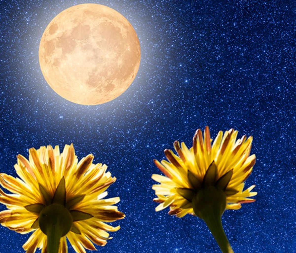 Υπερπανσέληνος Μαΐου στον Σκορπιό: Με κάθε επιφύλαξη...