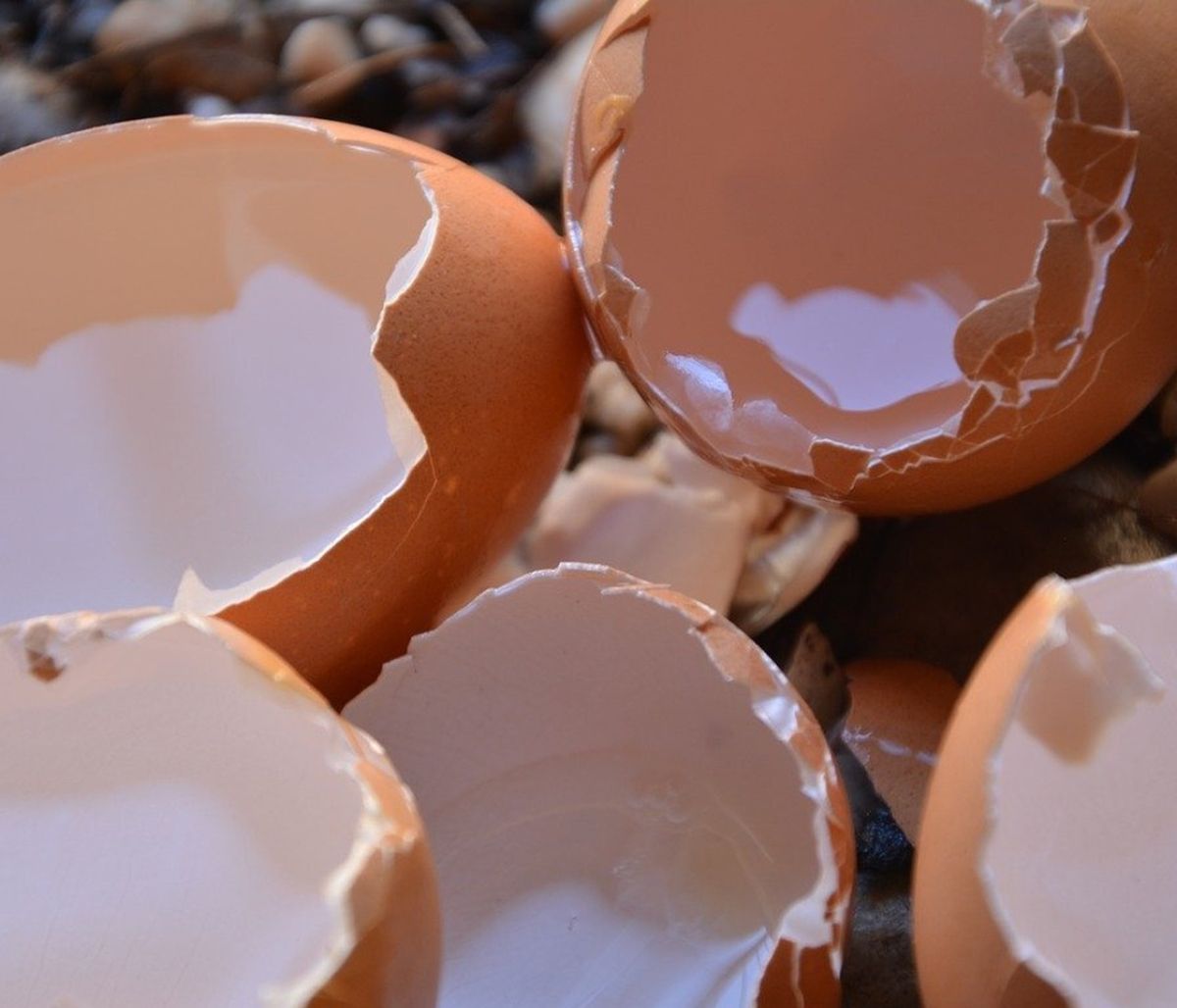 Έβαλε τσόφλια αυγού στο κομμένο χέρι - Δείτε γιατί και θα το κάνετε κι εσείς (video)