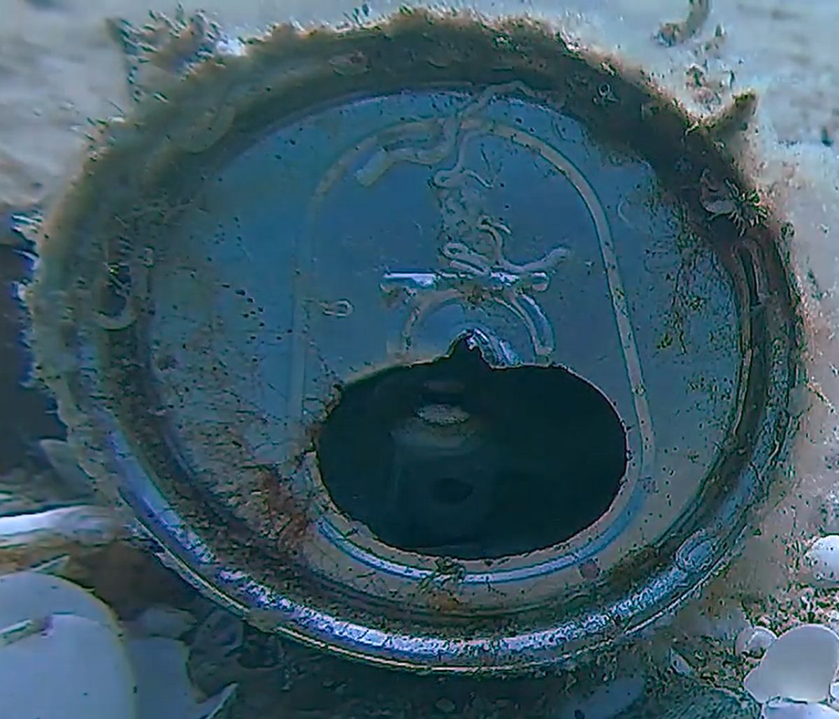 Απίστευτο! Βρήκαν κουτάκι στον βυθό της θάλασσας - Τρελάθηκαν μ' αυτό που ήταν μέσα (video)